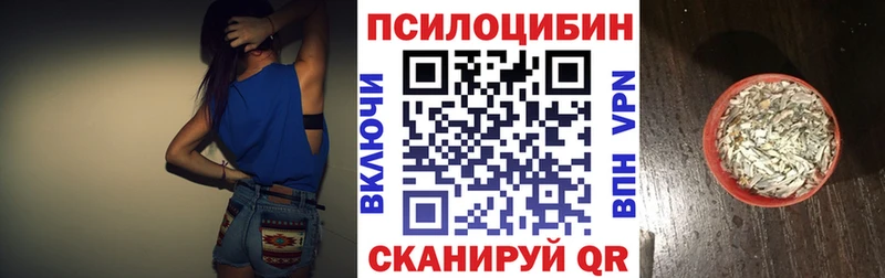 Купить  Берёзовка  Галлюциногенные грибы Cubensis 